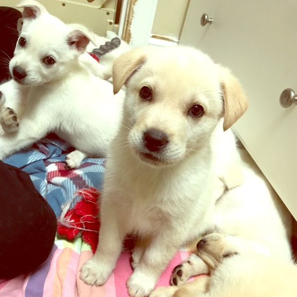 C’est moi, Maggie 😊 - Picture 6 of 6